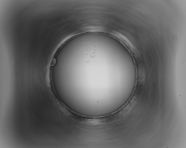 X0000102531182200808151548