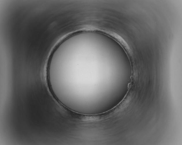 X0000102531183200808151548