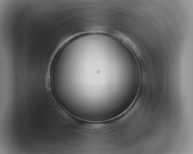 X0000102531184200808151548