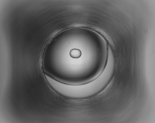 X0000102531185200808151548