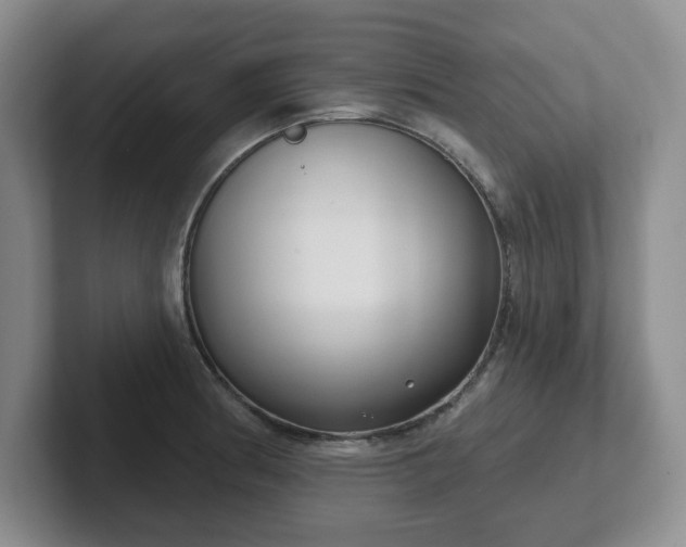 X0000102531186200808151548