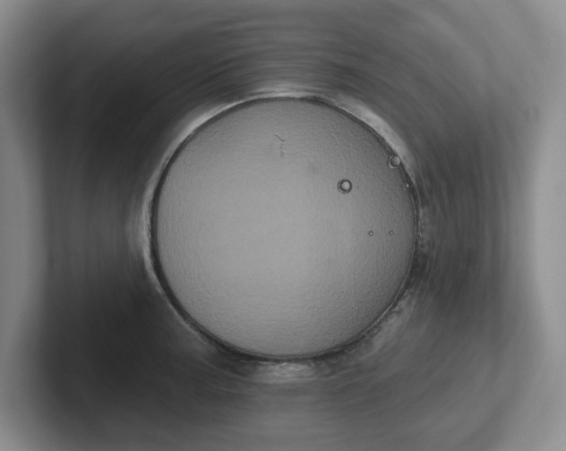 X0000102531187200808151548