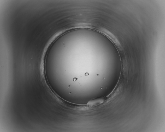 X0000102531188200808151548