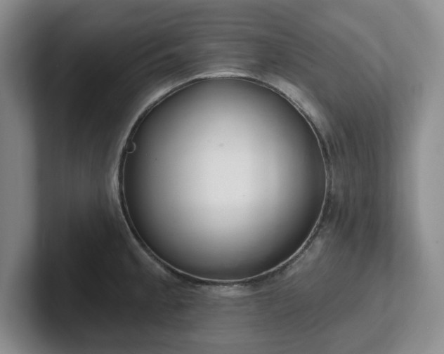 X0000102531189200808151548