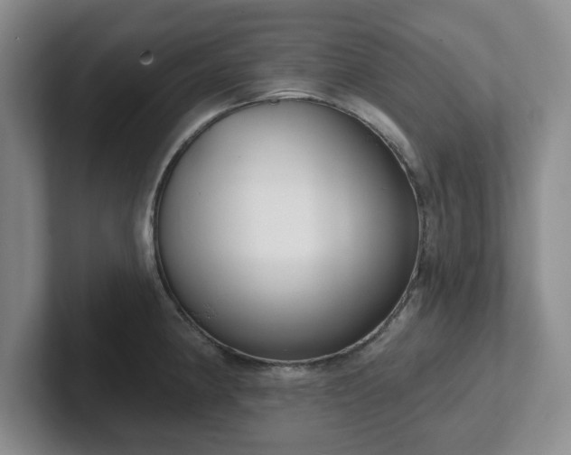 X0000102531190200808151548