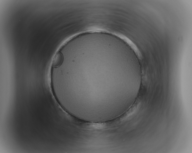 X0000102531191200808151548