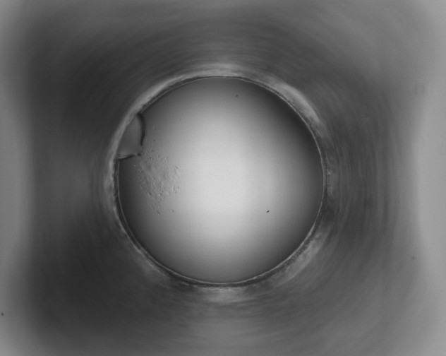 X0000102531192200808151548