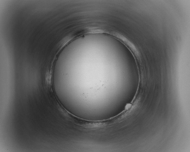 X0000102531193200808151548