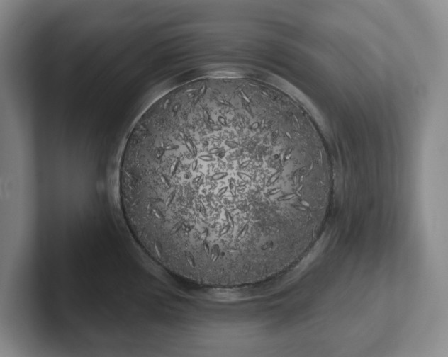 X0000102531194200808151548
