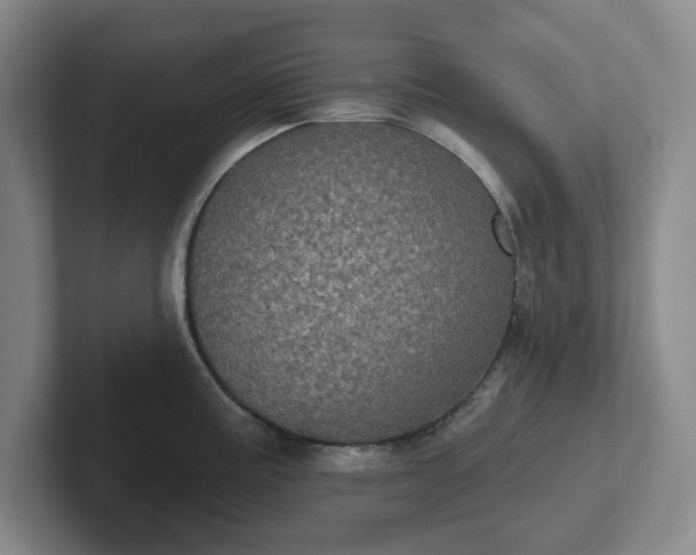 X0000102531195200808151548