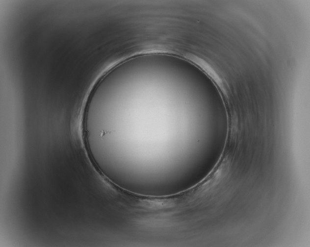 X0000102531197200808151548