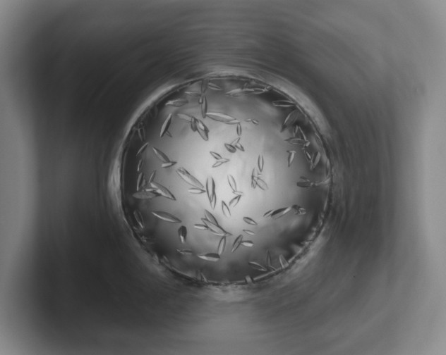 X0000102531198200808151548