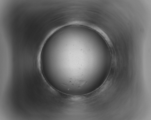 X0000102531199200808151548