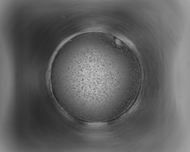 X0000102531200200808151548