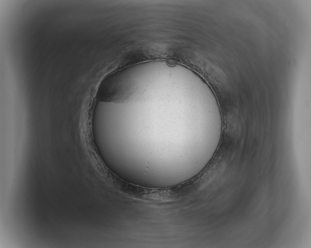 X0000102531201200808151547