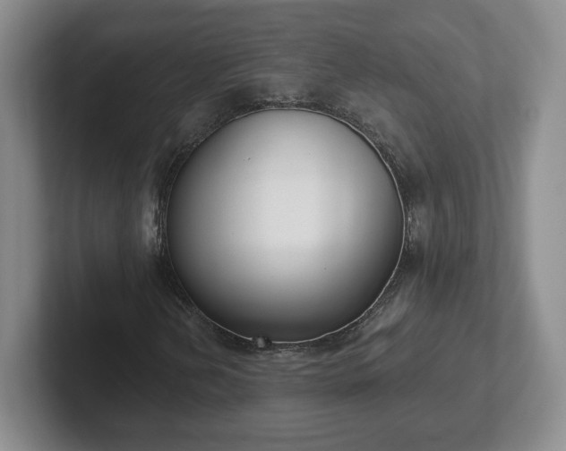 X0000102531202200808151547