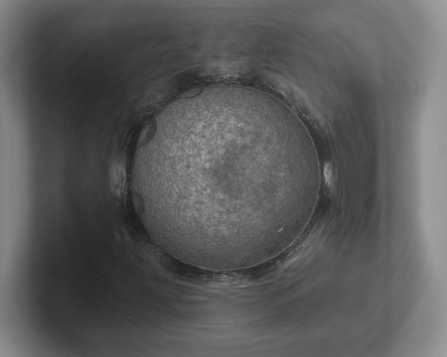 X0000102531203200808151547