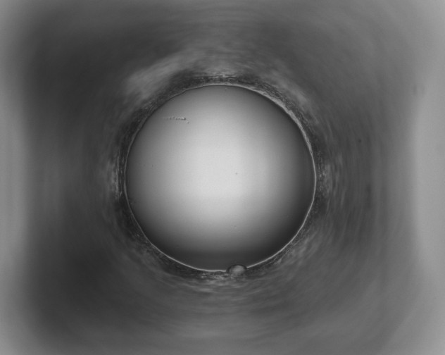 X0000102531205200808151547