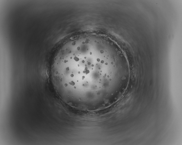 X0000102531206200808151547