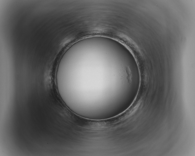 X0000102531210200808151548