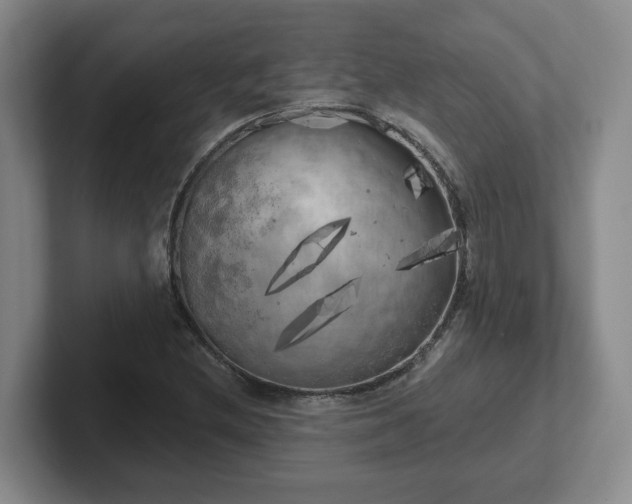X0000102531212200808151548
