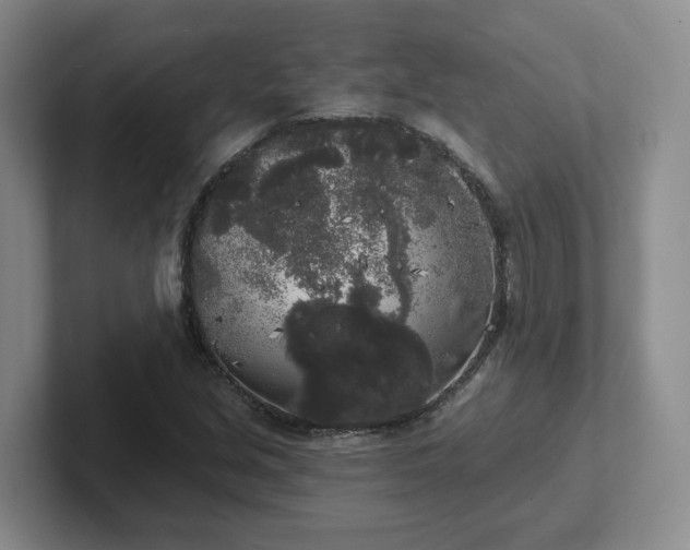 X0000102531213200808151548