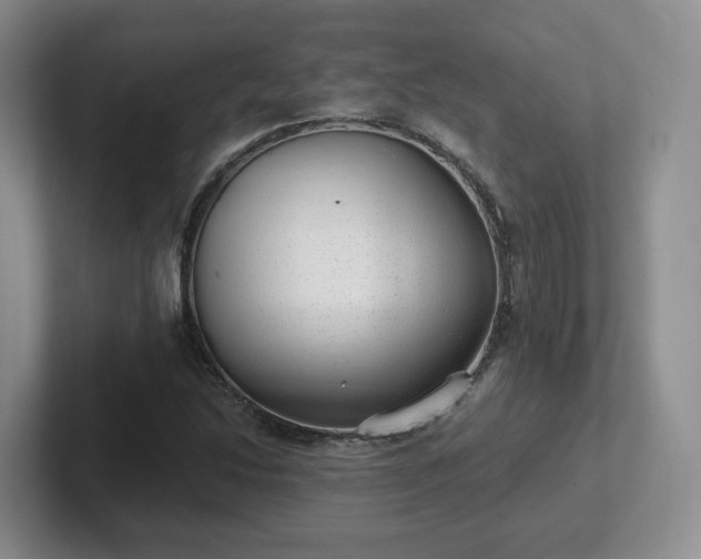 X0000102531214200808151548