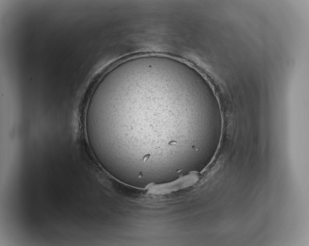 X0000102531215200808151548