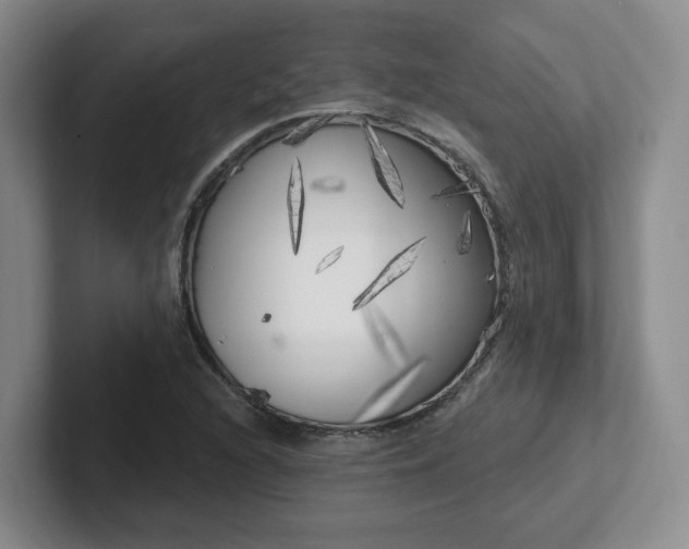 X0000102531216200808151548