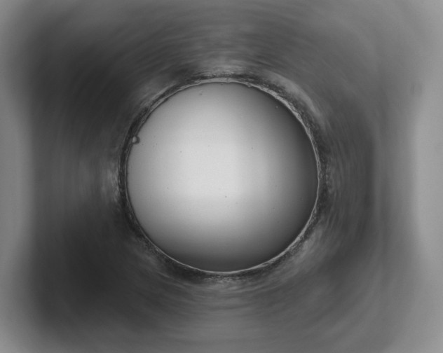 X0000102531217200808151548