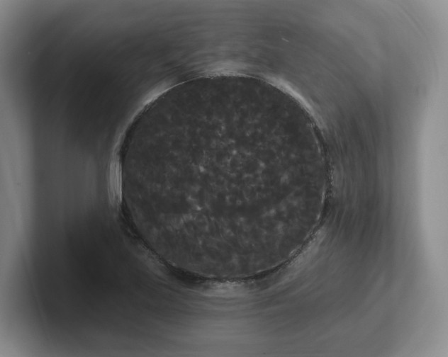 X0000102531219200808151548