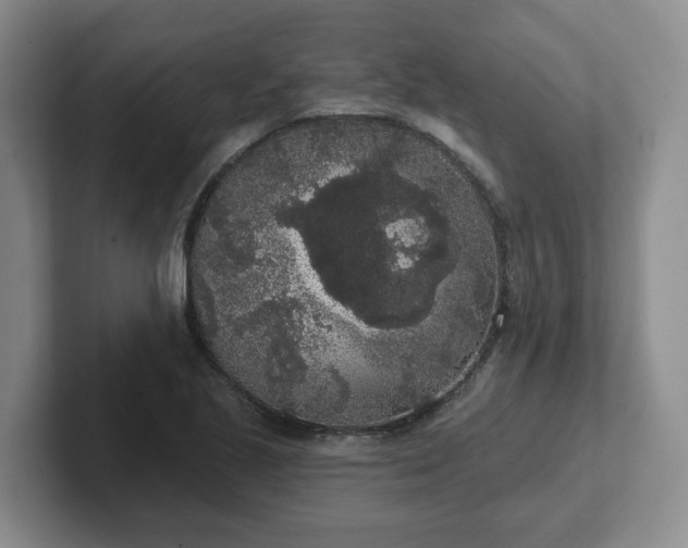 X0000102531221200808151548