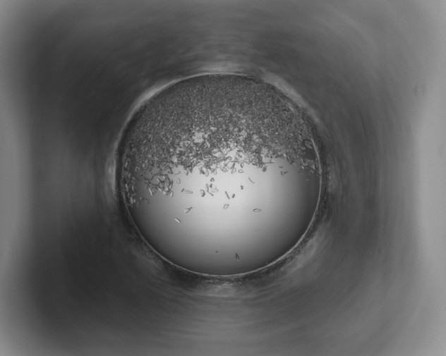 X0000102531222200808151548