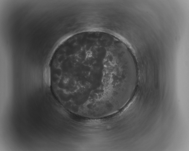 X0000102531223200808151548