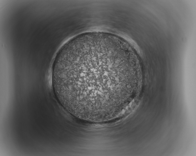 X0000102531224200808151548