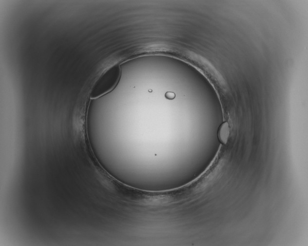 X0000102531225200808151548