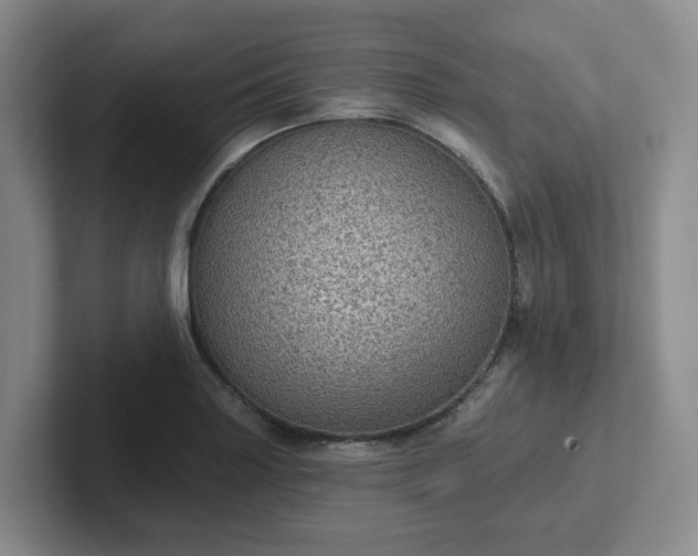 X0000102531227200808151548