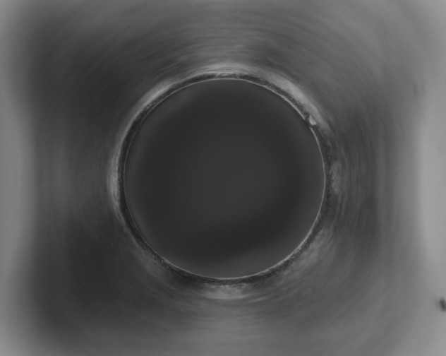 X0000102531229200808151548