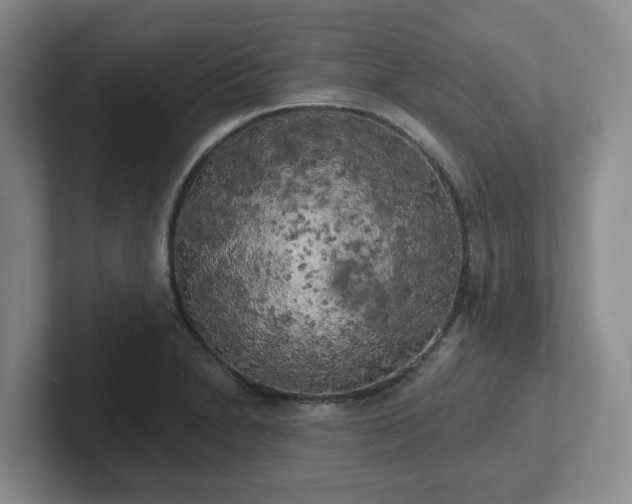 X0000102531230200808151548