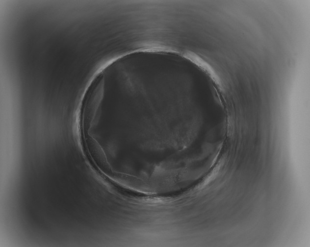 X0000102531231200808151548