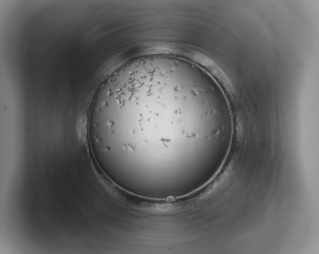 X0000102531233200808151548