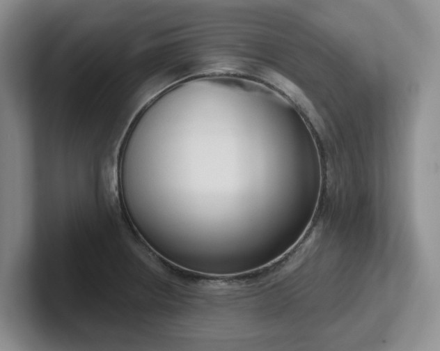 X0000102531234200808151548