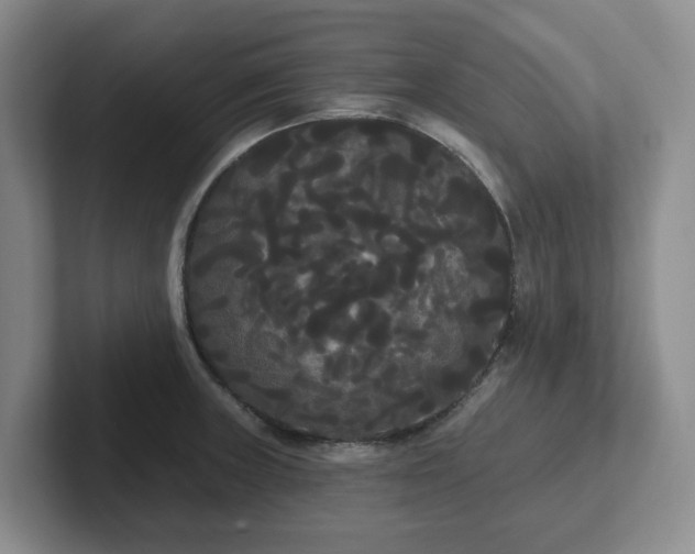 X0000102531235200808151548