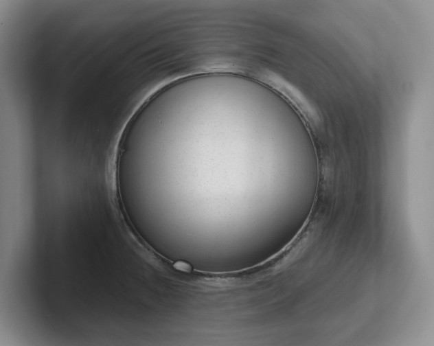 X0000102531236200808151548