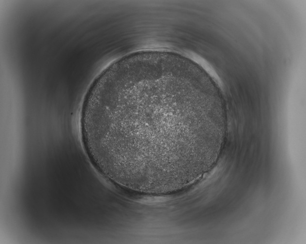 X0000102531237200808151548