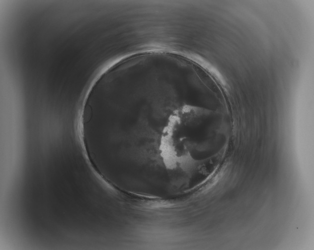 X0000102531239200808151548