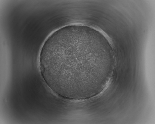 X0000102531240200808151548