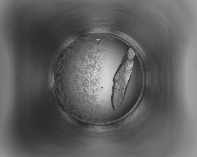 X0000102531241200808151548