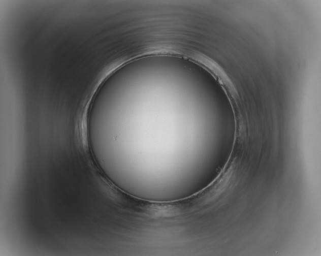 X0000102531242200808151548