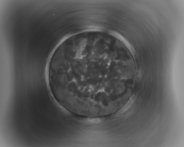 X0000102531243200808151548